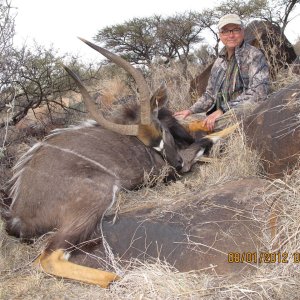 Nyala Hunt South Africa