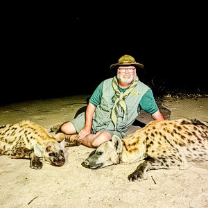 Spotted Hyena Hunt Zimbabwe