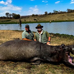 Hippo Hunt Zimbabwe