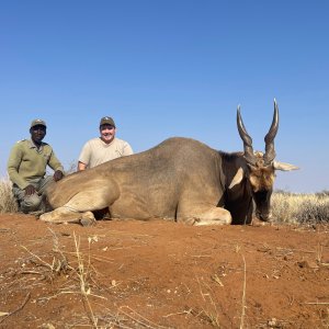 Hunting Eland Namibia