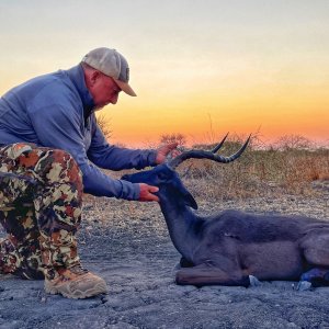 Black Impala Hunt South Africa