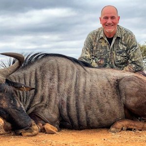 Blue Wildebeest Hunt South Africa