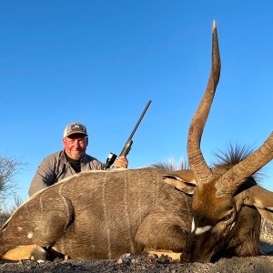 Nyala Hunt South Africa