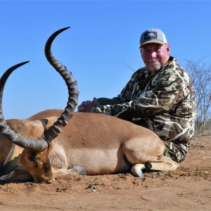 Impala Hunt South Africa