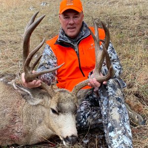 183 Inch Mule Deer Hunt Montana