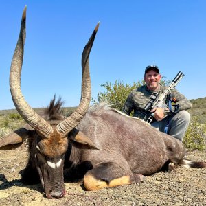 Nyala Hunt South Africa