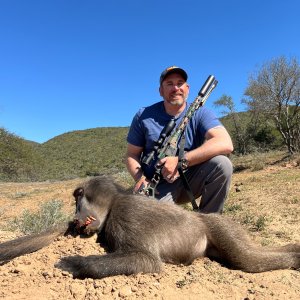 Baboon Hunt South Africa