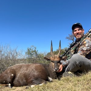 Bushbuck Hunt South Africa