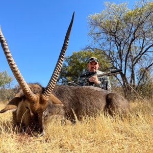 Waterbuck Hunt South Africa