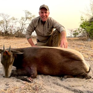 Media 'Yellow-Backed Duiker Hunt Zambia' in category 'Hunting Africa'