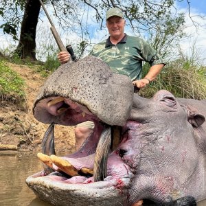 Hippo Hunt Tanzania