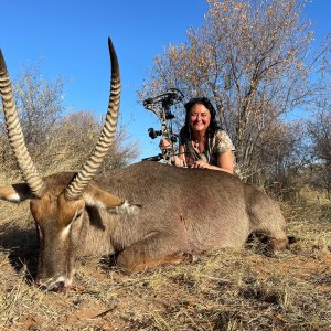 Waterbuck Bow Hunt South Africa