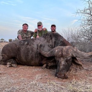 Cape Buffalo Hunt South Africa