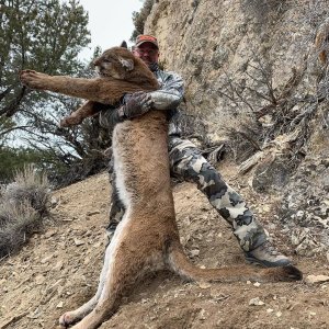 Mountain Lion Hunt