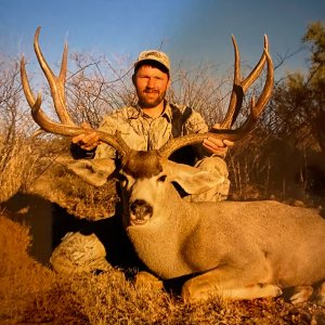 Mule Deer Hunt Sonora