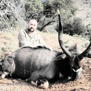 Nyala Hunt South Africa