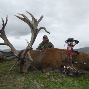 Bow Hunting Red Stag- New Zealand Safaris