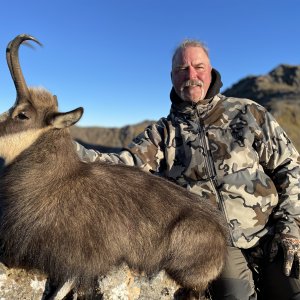 World Class Chamois- New Zealand Safaris