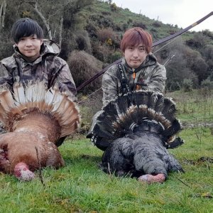 Turkey hunting- New Zealand Safaris