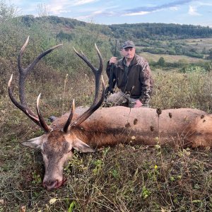 Hunting Red Deer Romania