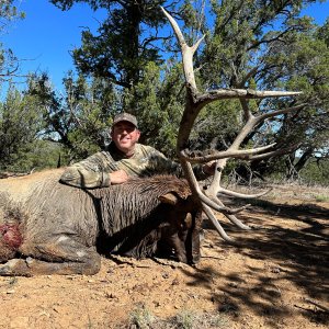 Elk Hunt Acoma Pueblo New Mexico