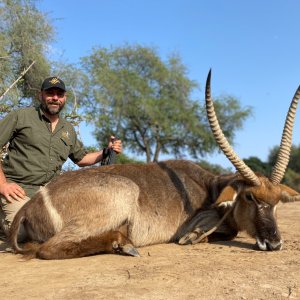 Waterbuck Hunt Zimbabwe