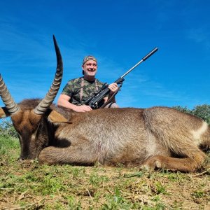 Waterbuck Hunt Eastern Cape South Africa