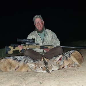 Jackal Hunt Eastern Cape South Africa