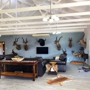 Media 'Accommodation Eastern Cape South Africa' in category 'Lodge, Team & Equipment Africa'