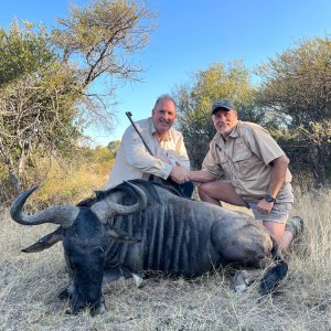 Blue Wildebeest Hunt North West