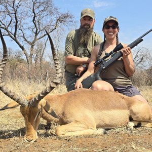 Impala Hunt  South Africa