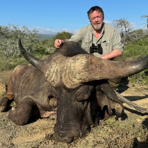 42 Inch Buffalo Hunt South Africa