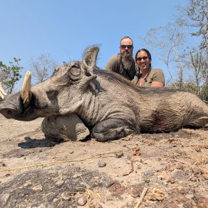 Warthog Hunt Zambia