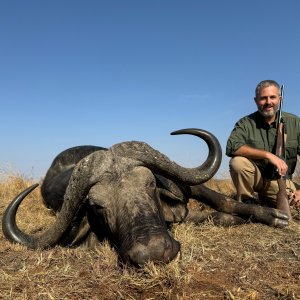 Buffalo Hunt South Africa