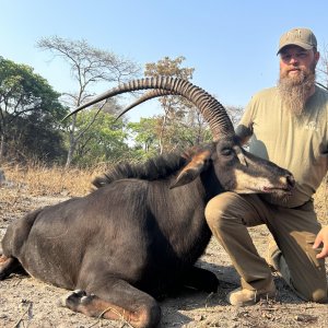 Sable Hunt Zambia