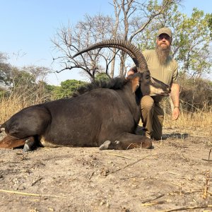 Sable Hunt Zambia