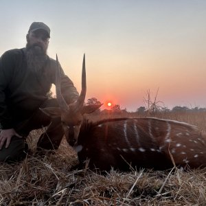 Bushbuck Hunt Zambia