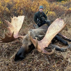 Moose Hunt Alaska