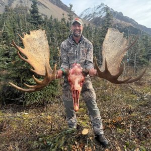 Moose Hunt Alaska