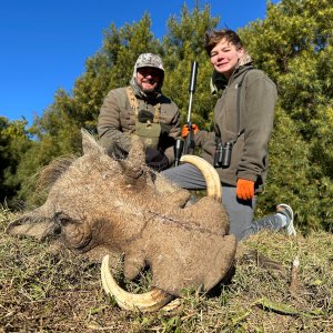 Warthog Hunt