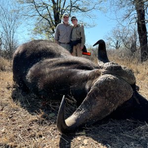 Buffalo Hunt Save Conservancy Zimbabwe