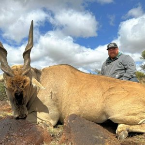 Eland Hunt South Africa