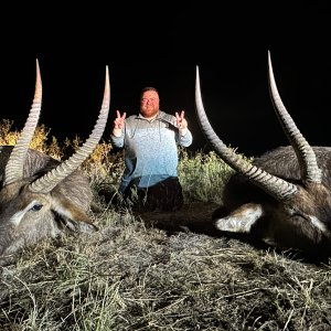 Waterbuck Duo Hunt South Africa