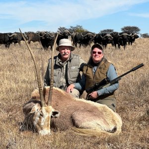 Golden Oryx Hunt