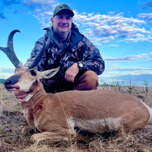 Pronghorn Hunting New Mexico