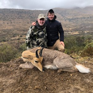 Reedbuck Hunt Eastern Cape South Africa