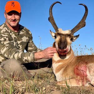 Pronghorn Hunt Colorado