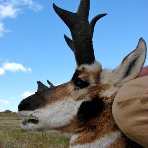 Unique Pronghorn Hunt Colorado