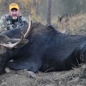 Media 'Shiras Moose Hunt Wyoming' in category 'Hunting Worldwide'