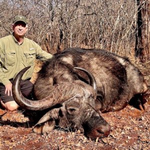 Buffalo Hunt South Africa